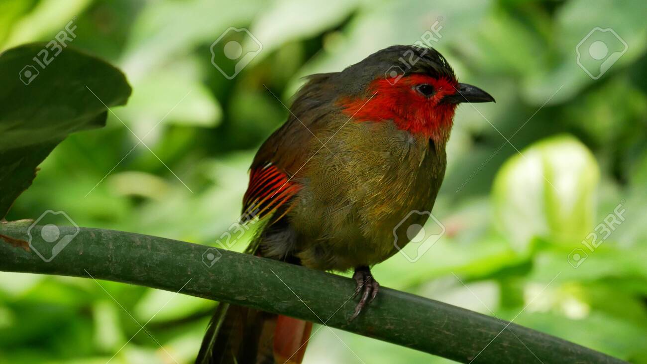 etiam-dictum-ipsum-a-felis