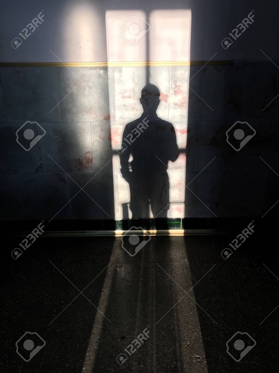 etiam-dictum-ipsum-a-felis