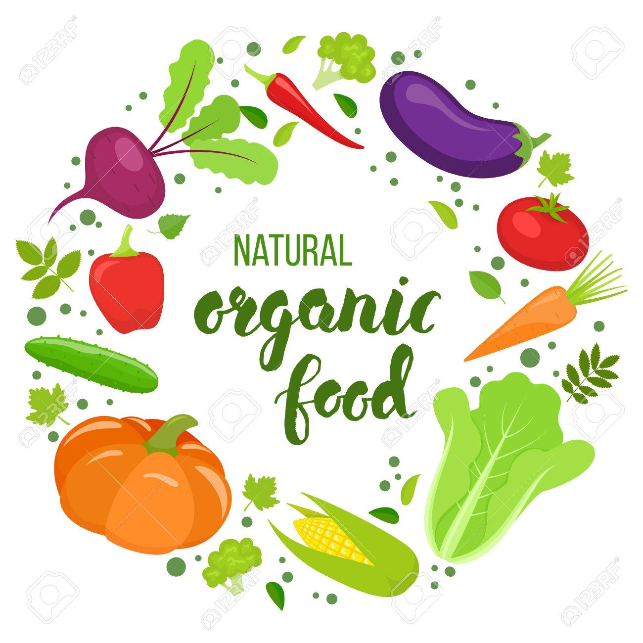 round frame with colorful vegetables template for packaging