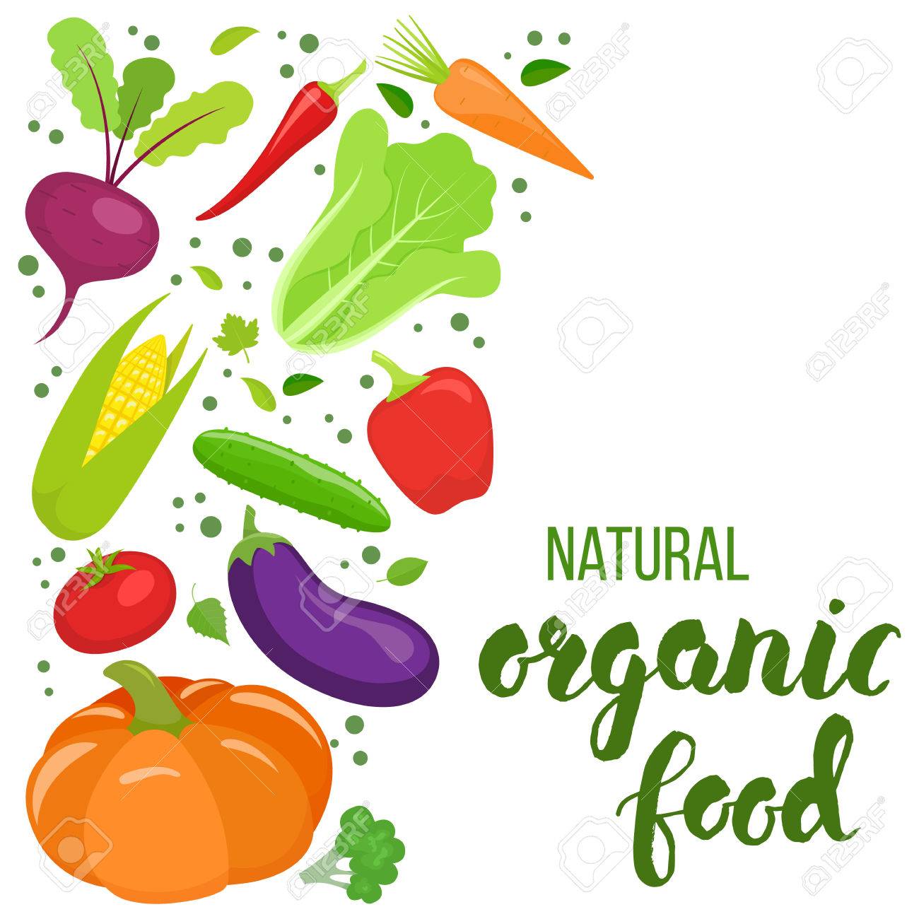 side vertical border with colorful vegetables template for