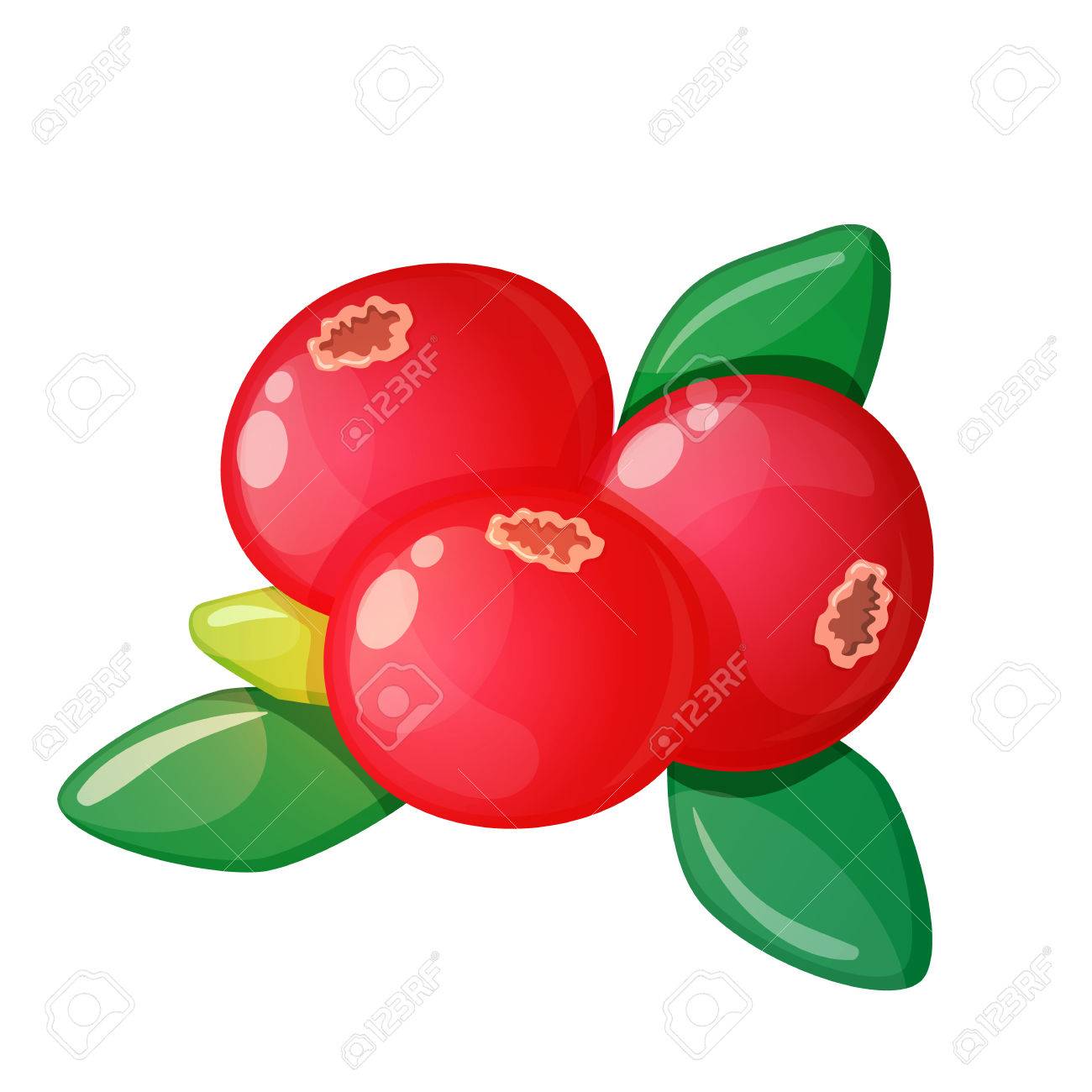 白い背景の上のクランベリーのカラフルな漫画イラスト ベクトル のイラスト素材 ベクタ Image