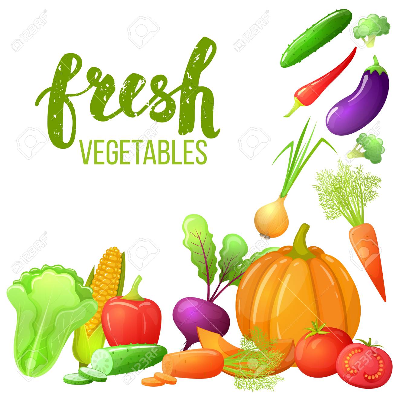 colorful cartoon set of vegetables icons eco organic fresh template