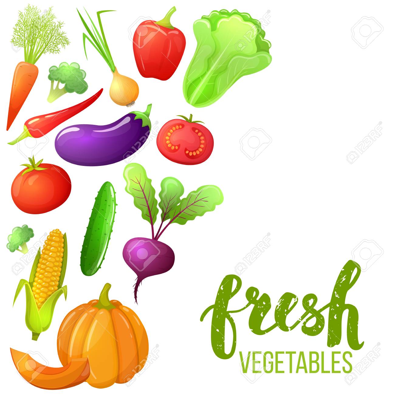 colorful cartoon set of vegetables icons eco organic fresh template