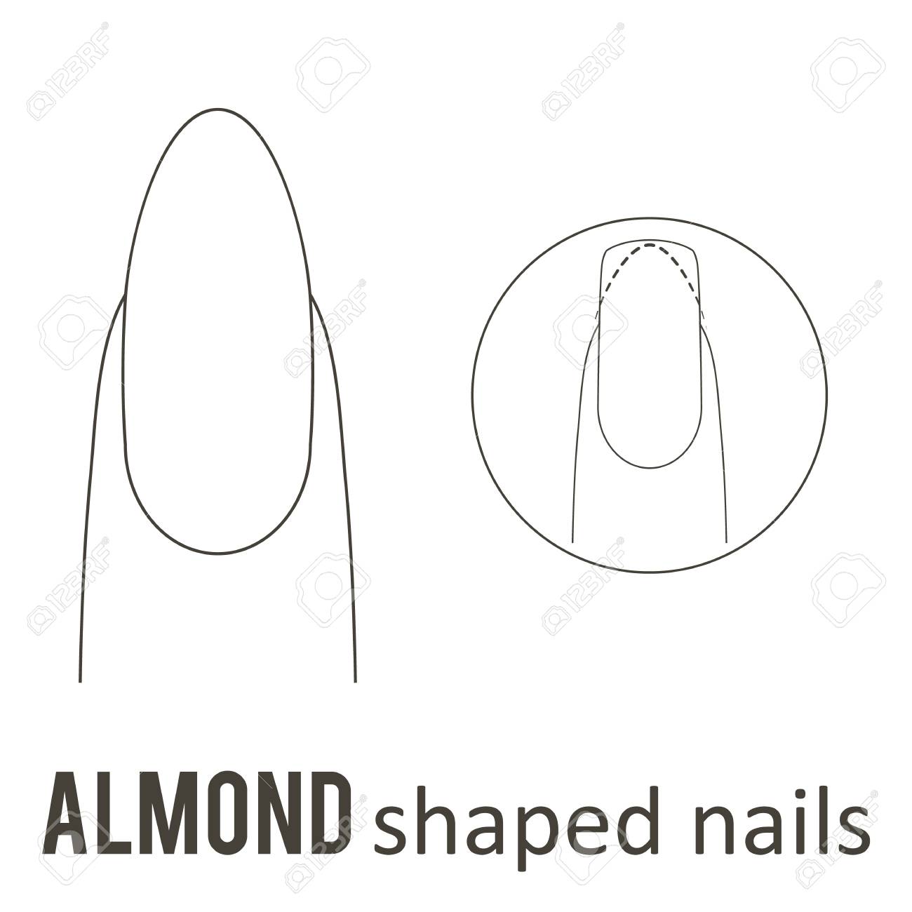 ネイル マニキュア アーモンド爪の形を作る方法 のイラスト素材 ベクタ Image ネイル マニキュア アーモンド爪の形を作る方法 のイラスト素材 ベクタ Image