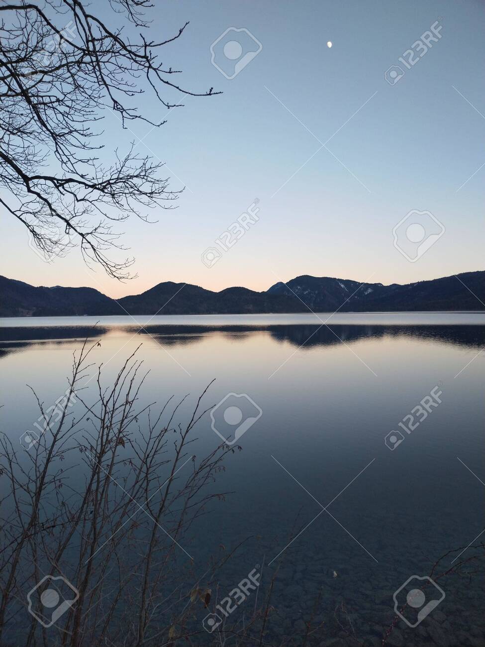 etiam-dictum-ipsum-a-felis