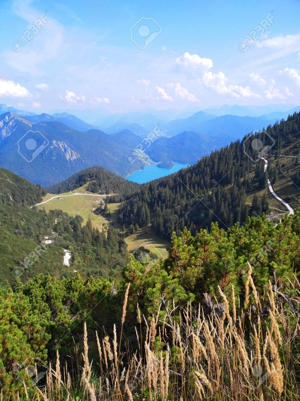 etiam-dictum-ipsum-a-felis