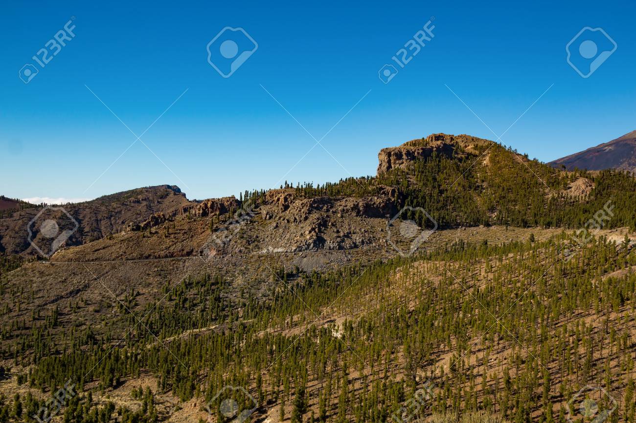 テネリフェ島のカナリア諸島 スペインのテイデ国立公園 の写真素材 画像素材 Image