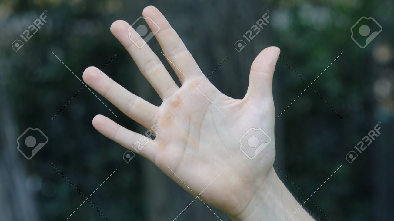 etiam-dictum-ipsum-a-felis