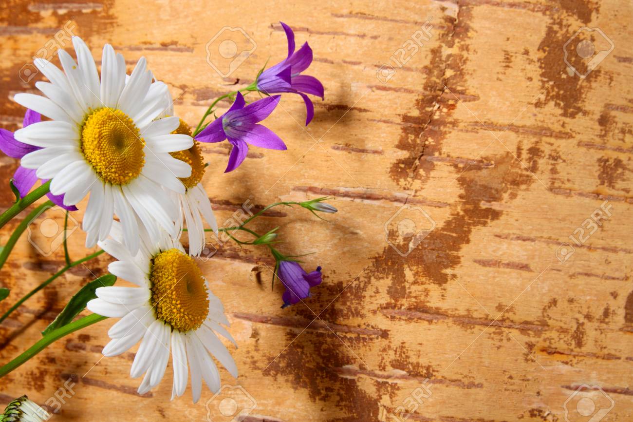 樺の樹皮からグランジ背景に野生の花 の写真素材 画像素材 Image 樺の樹皮からグランジ背景に野生の花 の写真素材 画像素材 Image