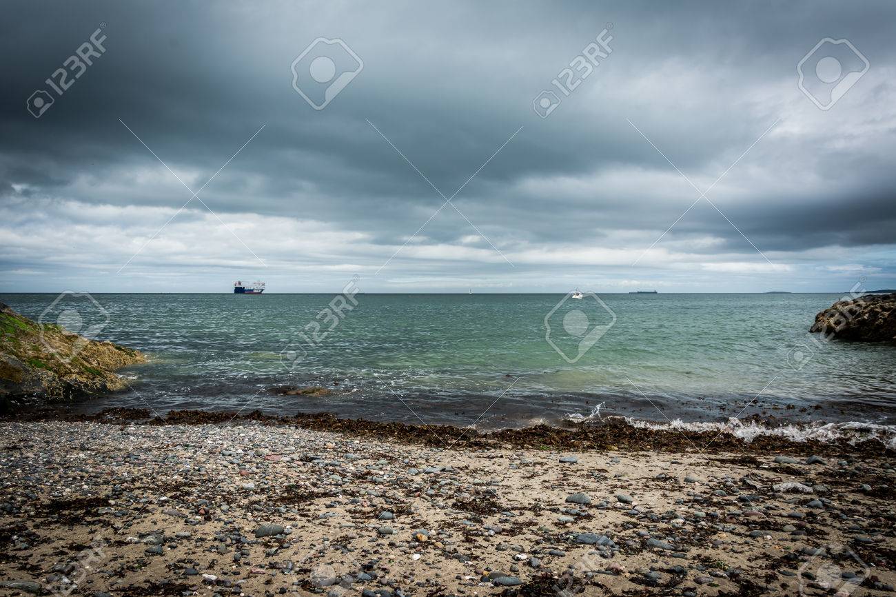 etiam-dictum-ipsum-a-felis