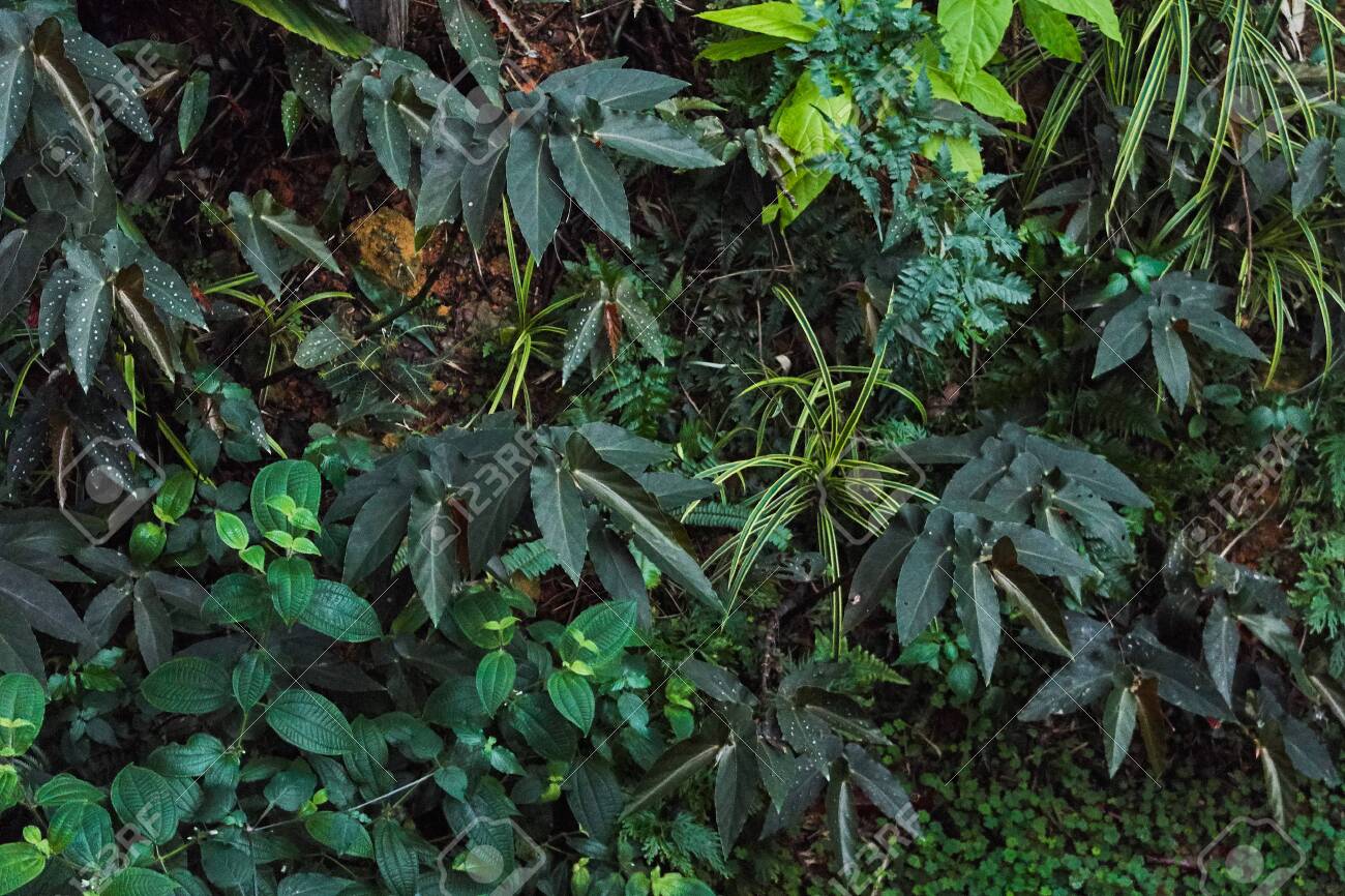 etiam-dictum-ipsum-a-felis