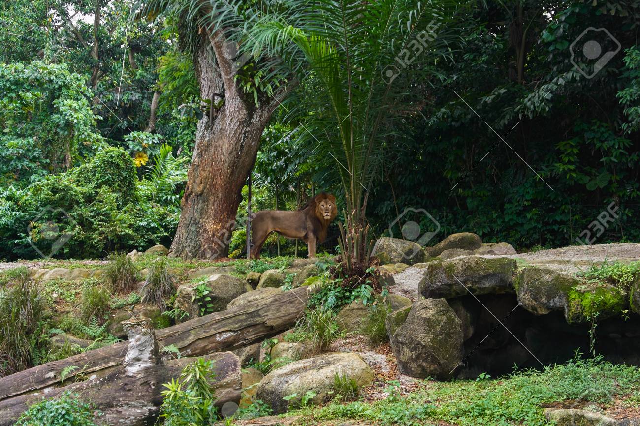 etiam-dictum-ipsum-a-felis