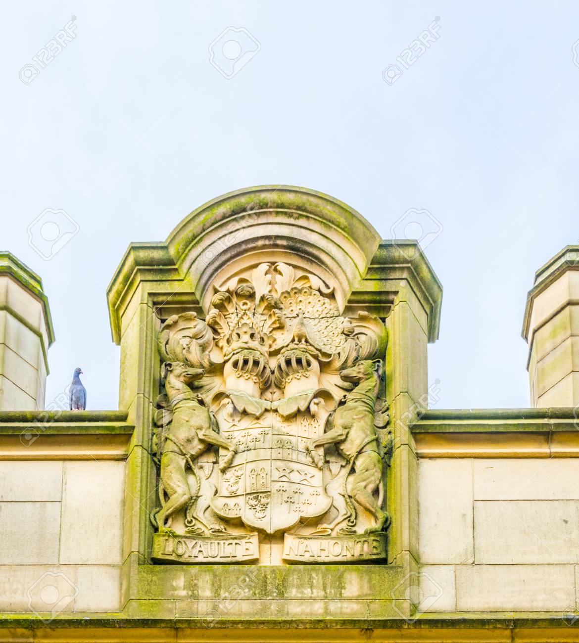 etiam-dictum-ipsum-a-felis