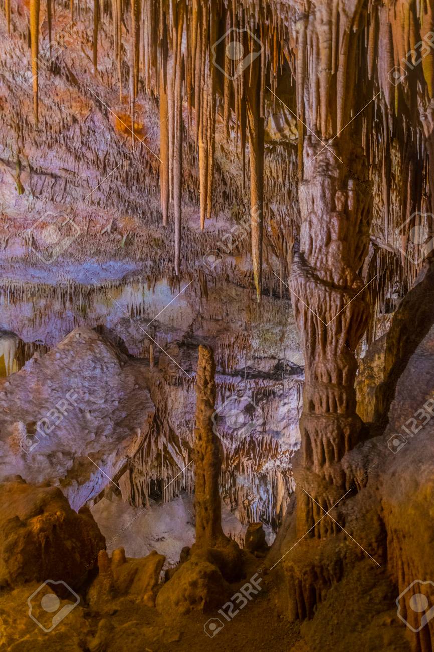 etiam-dictum-ipsum-a-felis