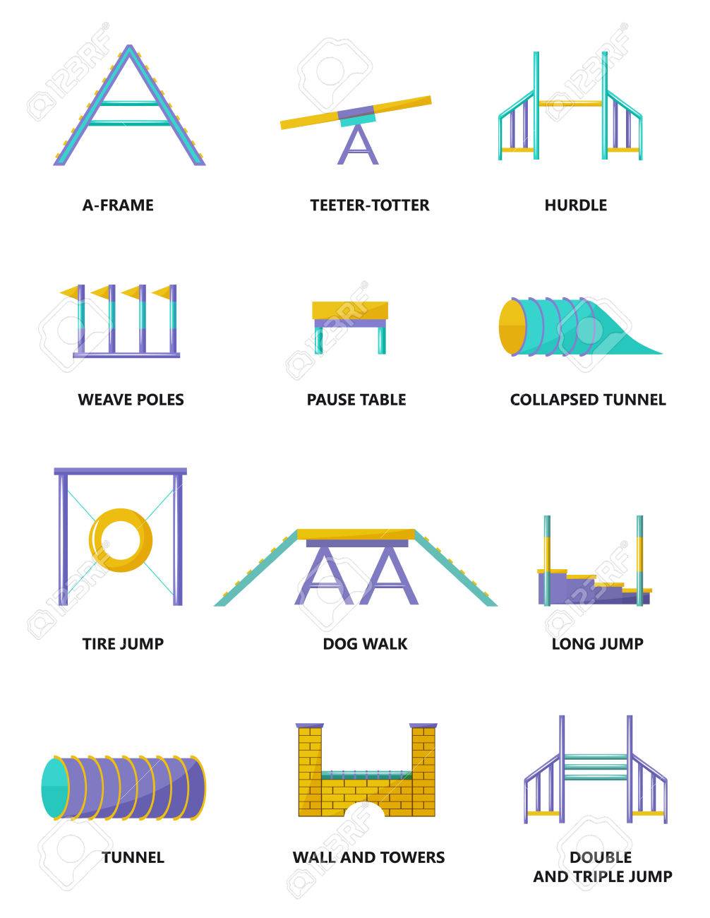 dog agility equipment