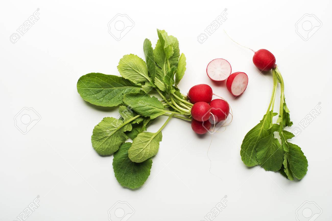 Fresh red radish isolated on a white background close up. - 52042962 Fresh red radish isolated on a white background close up. - 52042962