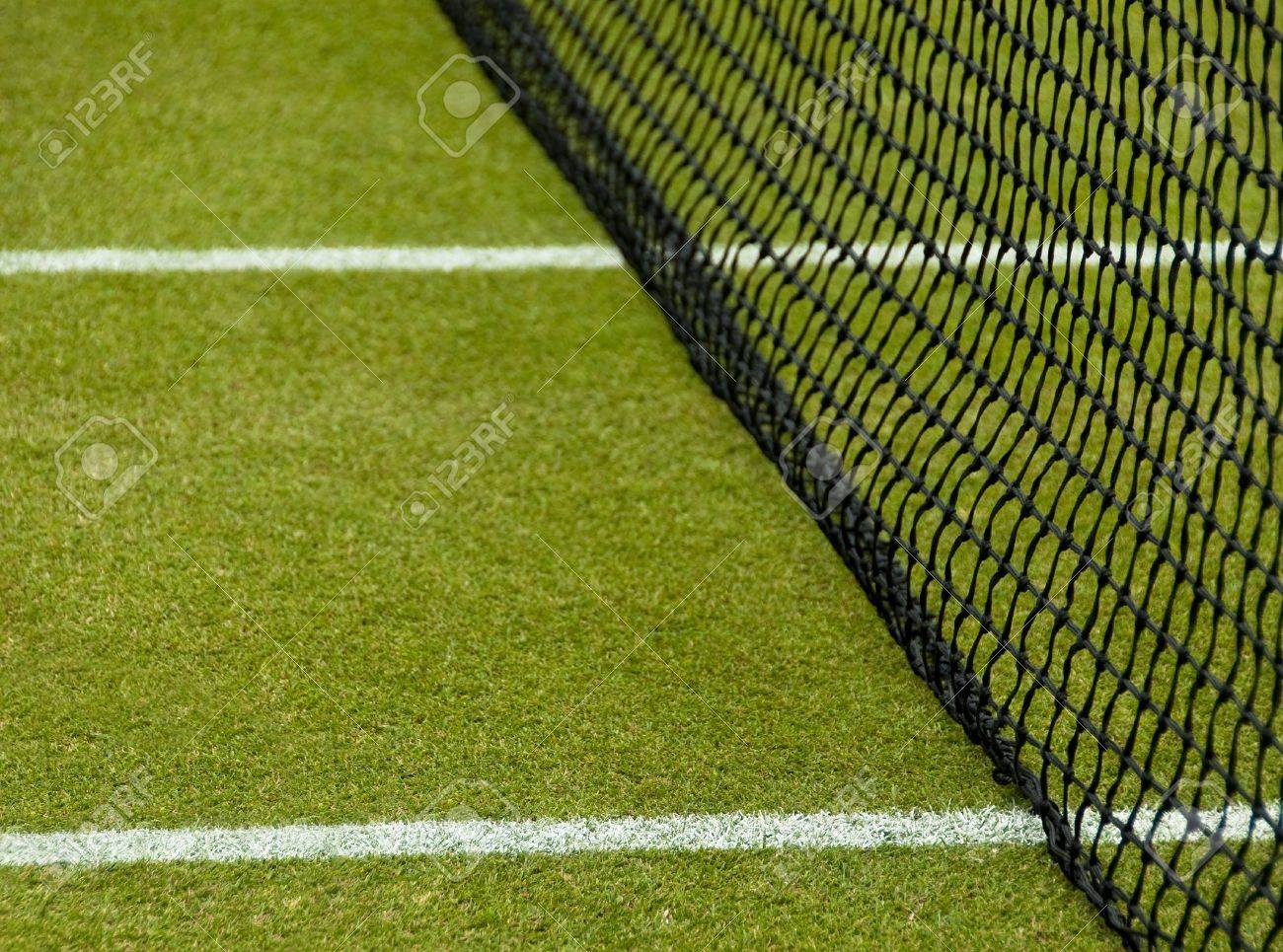 芝生のテニスコート 白い線 純 の写真素材 画像素材 Image