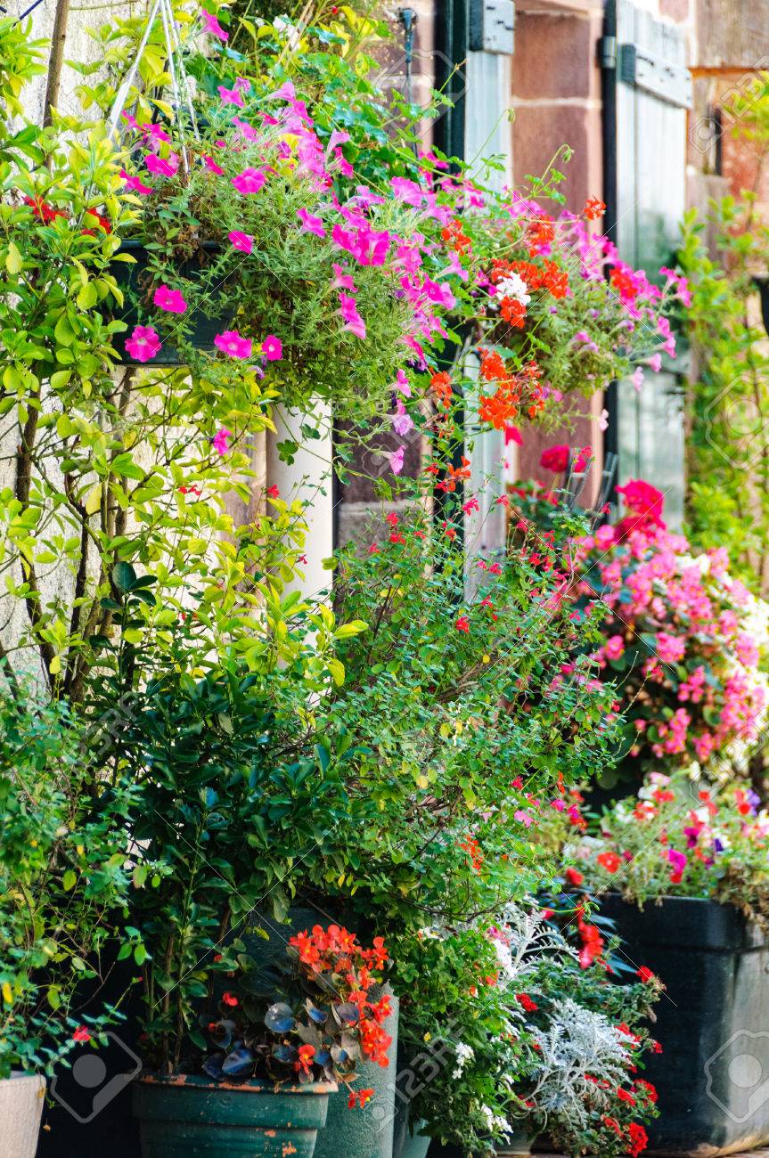 Flowers outside a house