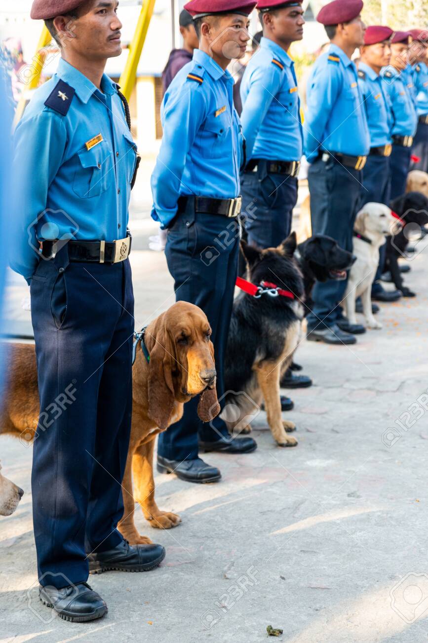 military dog training schools
