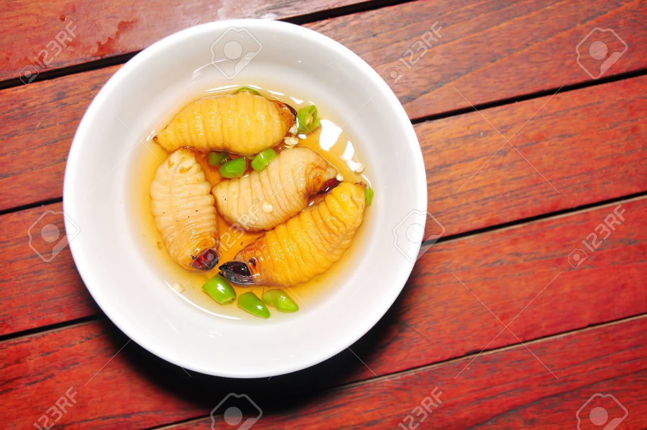 レッド パーム ゾウムシの幼虫またはココナッツ ワームまたはビンズオン ドゥアやサゴ ワーム ヤシオオオサゾウムシ ベトナムから の写真素材 画像素材 Image