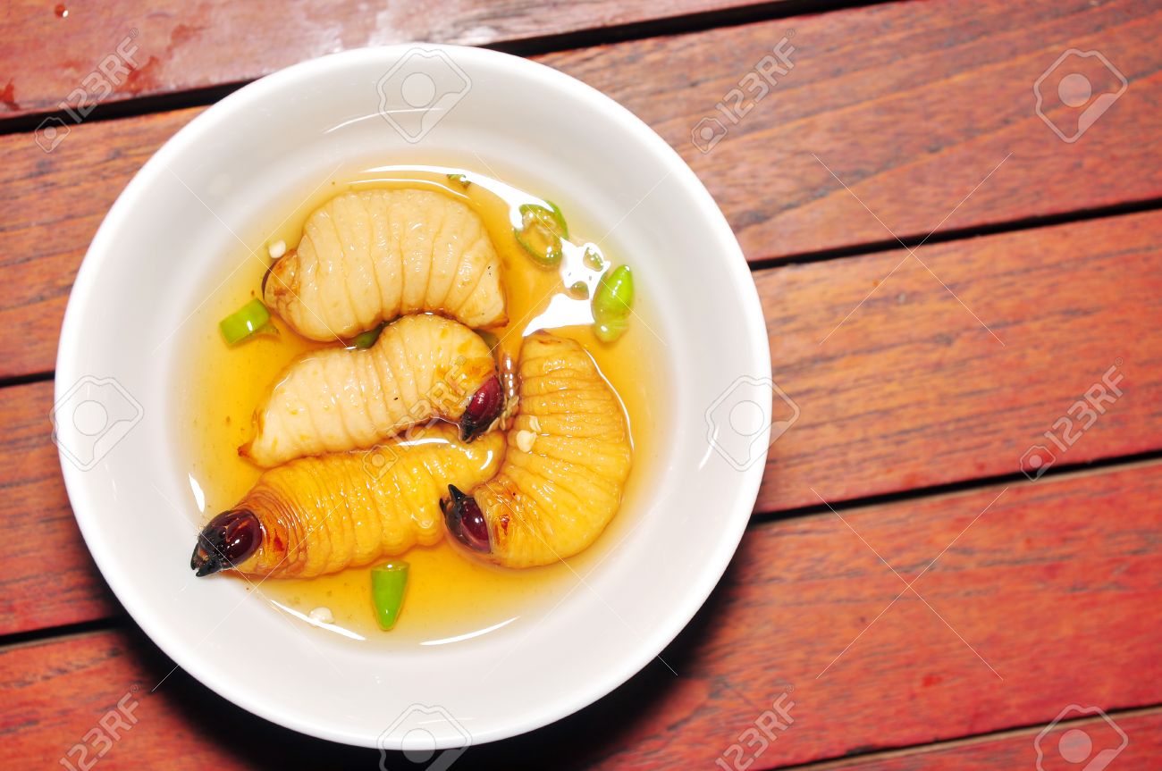 レッド パーム ゾウムシの幼虫またはココナッツ ワームまたはビンズオン ドゥアやサゴ ワーム ヤシオオオサゾウムシ ベトナムから の写真素材 画像素材 Image