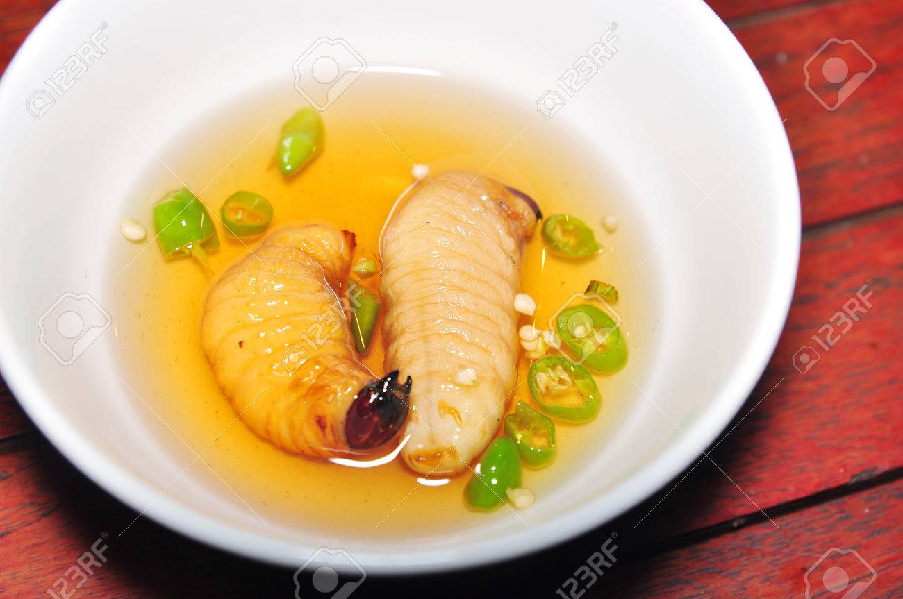 レッド パーム ゾウムシの幼虫またはココナッツ ワームまたはビンズオン ドゥアやサゴ ワーム ヤシオオオサゾウムシ ベトナムから の写真素材 画像素材 Image