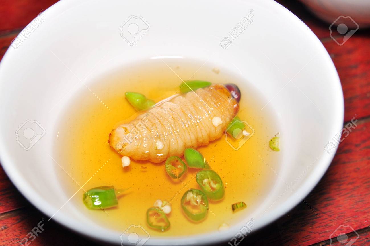 レッド パーム ゾウムシの幼虫またはココナッツ ワームまたはビンズオン ドゥアやサゴ ワーム ヤシオオオサゾウムシ ベトナムから の写真素材 画像素材 Image