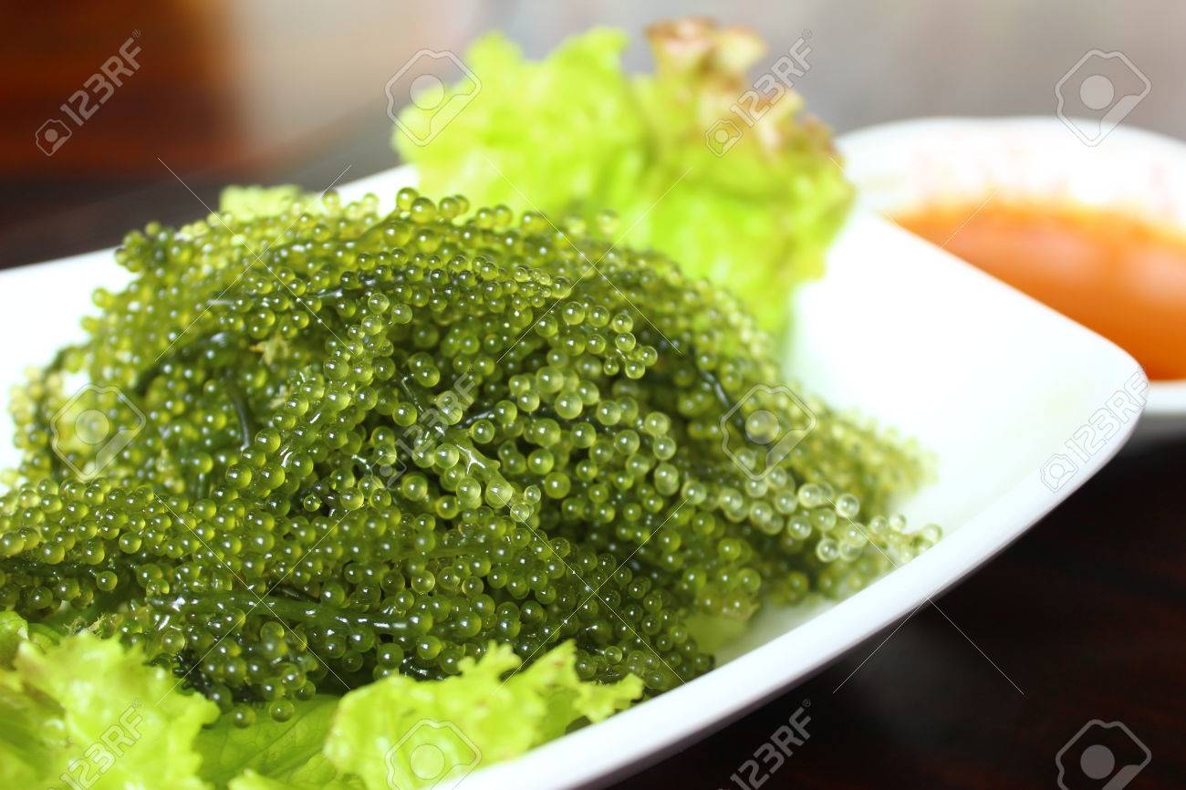 Caulerpa 沖縄海藻は Bryopsidale グリーン藻類の種 の写真素材 画像素材 Image Caulerpa 沖縄海藻は Bryopsidale グリーン藻類の種 の写真素材 画像素材 Image