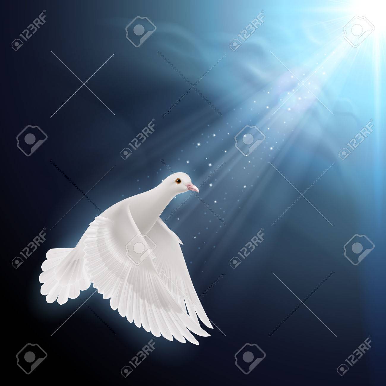 Paloma Blanca Volando En La Luz Del Sol Contra El Cielo Azul