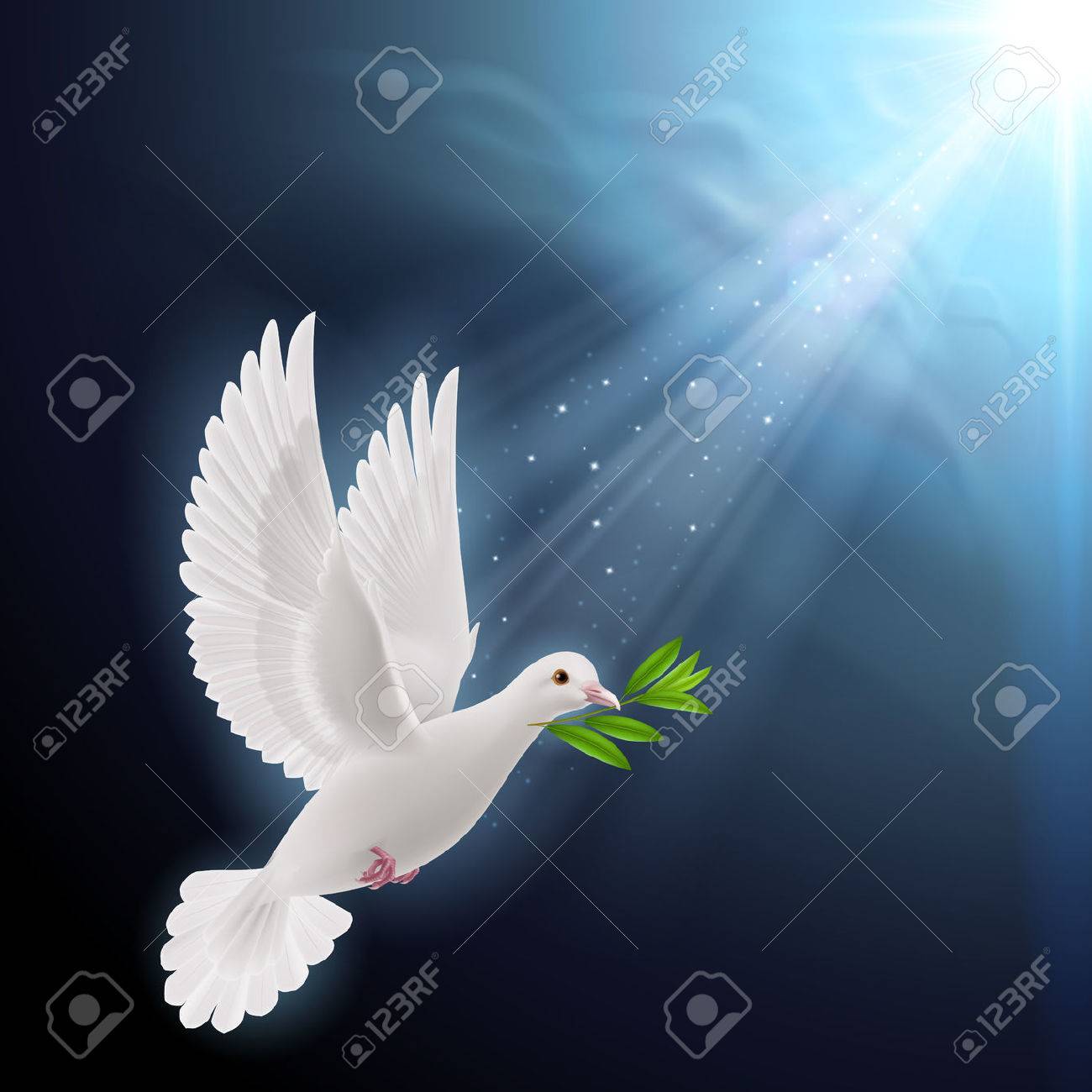 Pomba Da Paz Voando Com Um Galho Verde Apos A Inundacao Em Um Fundo Escuro Ilustraciones Vectoriales Clip Art Vectorizado Libre De Derechos Image 29200484
