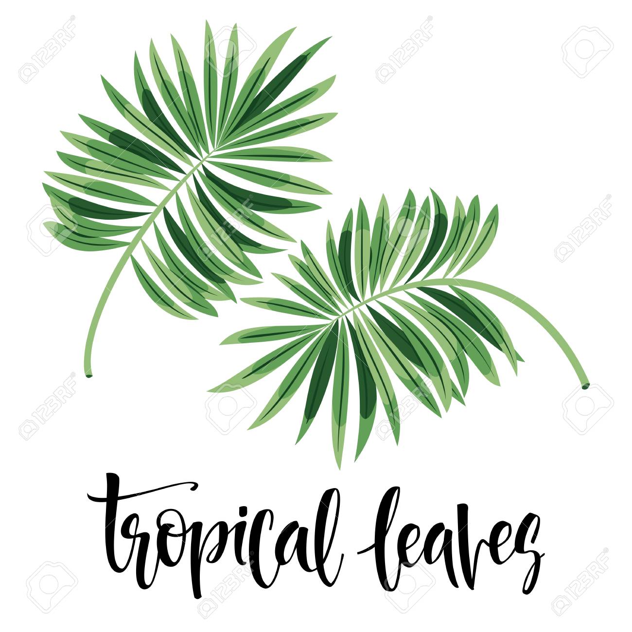 ベクトル トロピカル葉っぱジャングルを葉します のイラスト素材 ベクタ Image ベクトル トロピカル葉っぱジャングルを葉します のイラスト素材 ベクタ Image