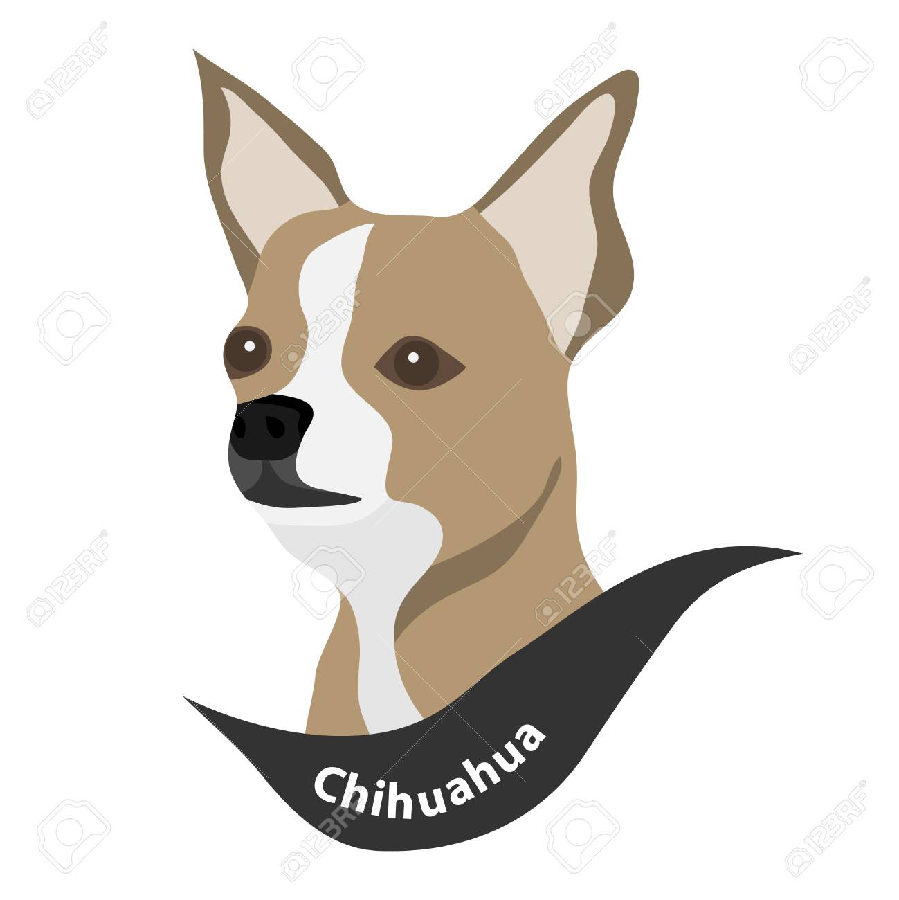 チワワ犬の頭 フラット デザイン ベクトル イラストのイラスト素材 ベクタ Image チワワ犬の頭 フラット デザイン ベクトル イラストのイラスト素材 ベクタ Image