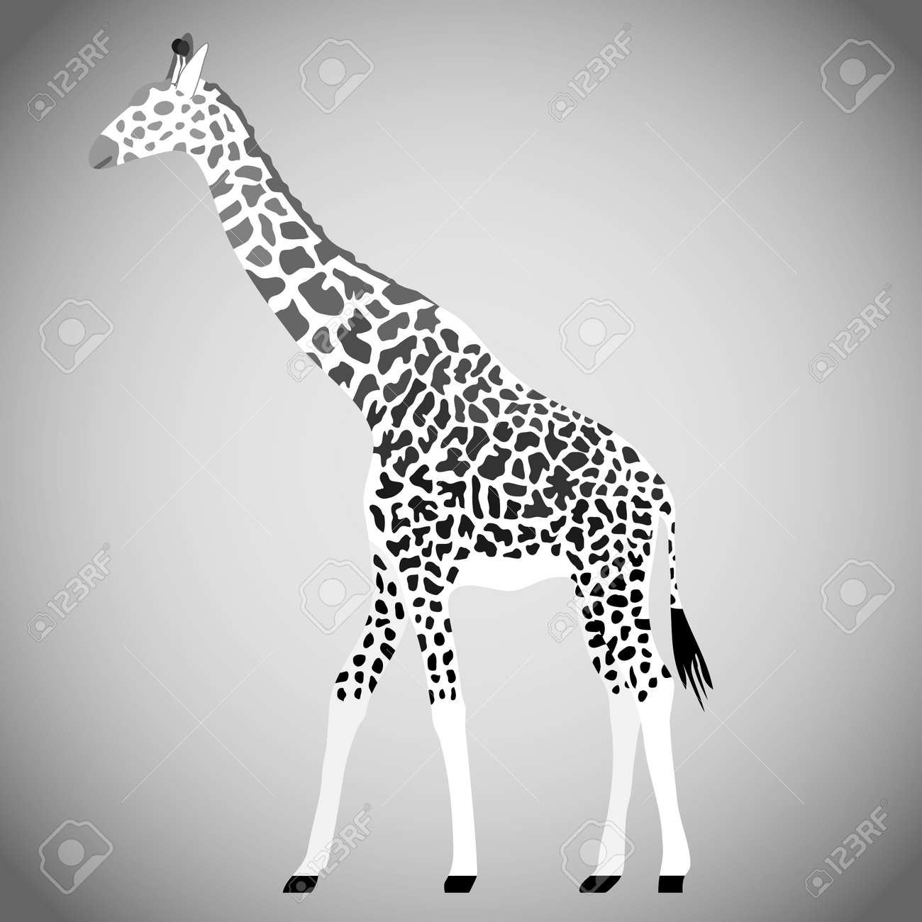 Giraffe in black and white. Giraffe isolated on a light background. Vector illustration. Vector. - 167578726 Giraffe in black and white. Giraffe isolated on a light background. Vector illustration. Vector. - 167578726