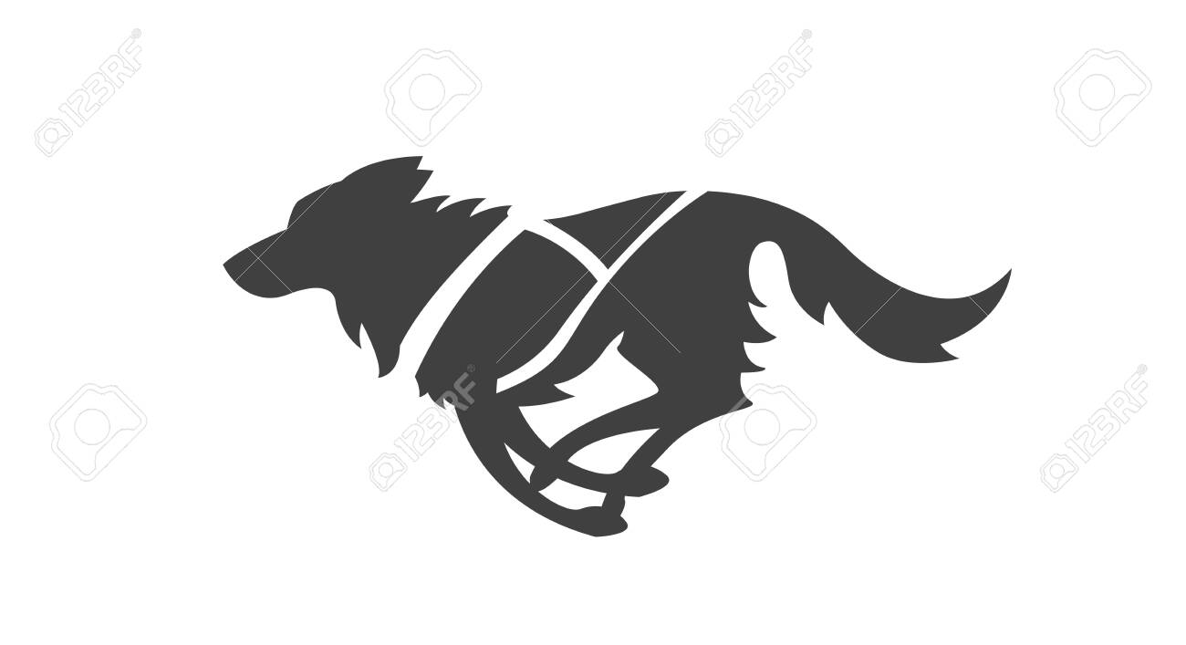 running with a dog that pulls