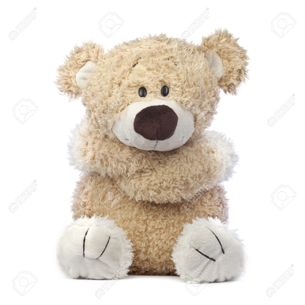 adorable teddy bear