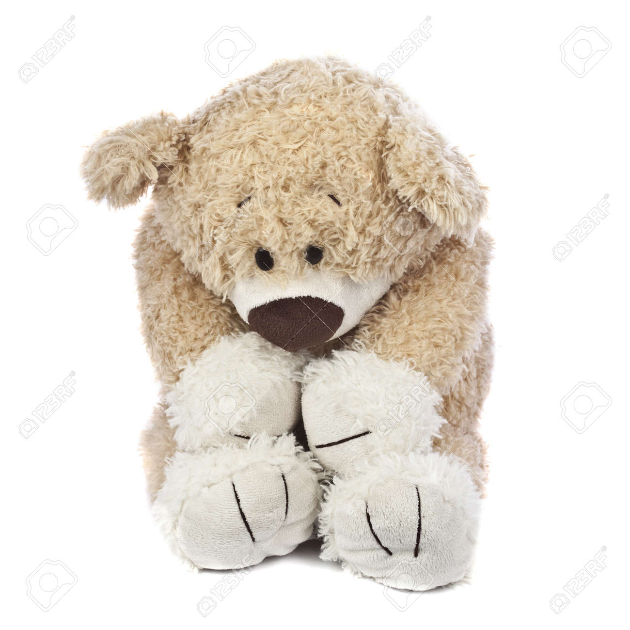 adorable teddy bear