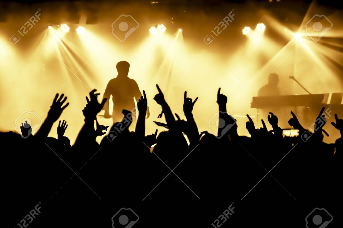 cheering crowd at concert
