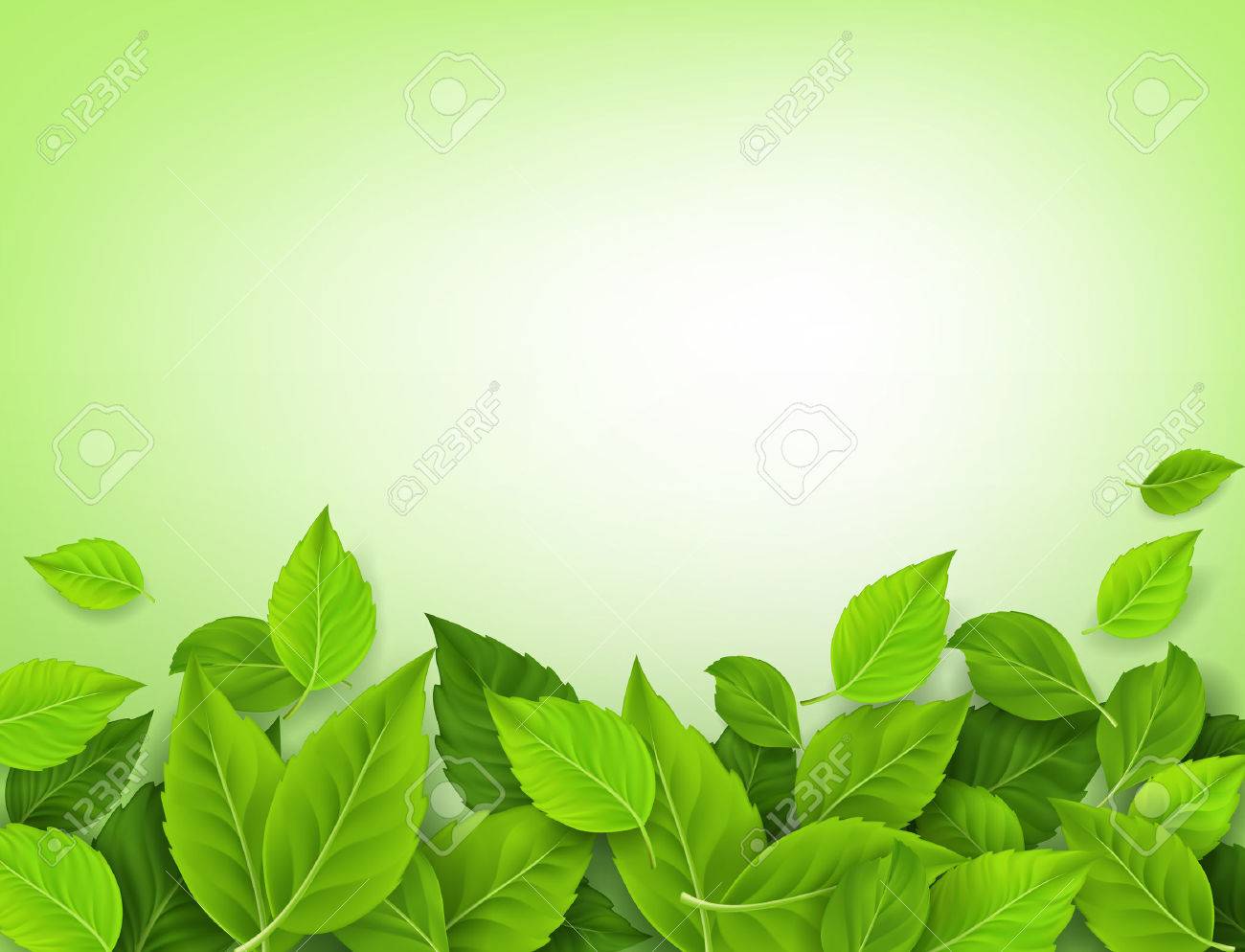 リアルな葉の背景ホワイト スペースに ベクトル図 のイラスト素材 ベクタ Image リアルな葉の背景ホワイト スペースに ベクトル図 のイラスト素材 ベクタ Image