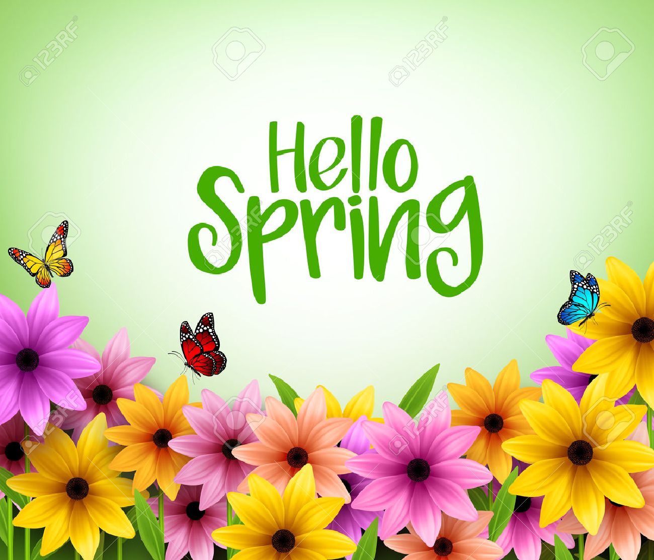 Colorful Flowers Background in 3D Realistic Vector for Spring Season with Space for Message. Vector Illustration - 51701025 Colorful Flowers Background in 3D Realistic Vector for Spring Season with Space for Message. Vector Illustration - 51701025