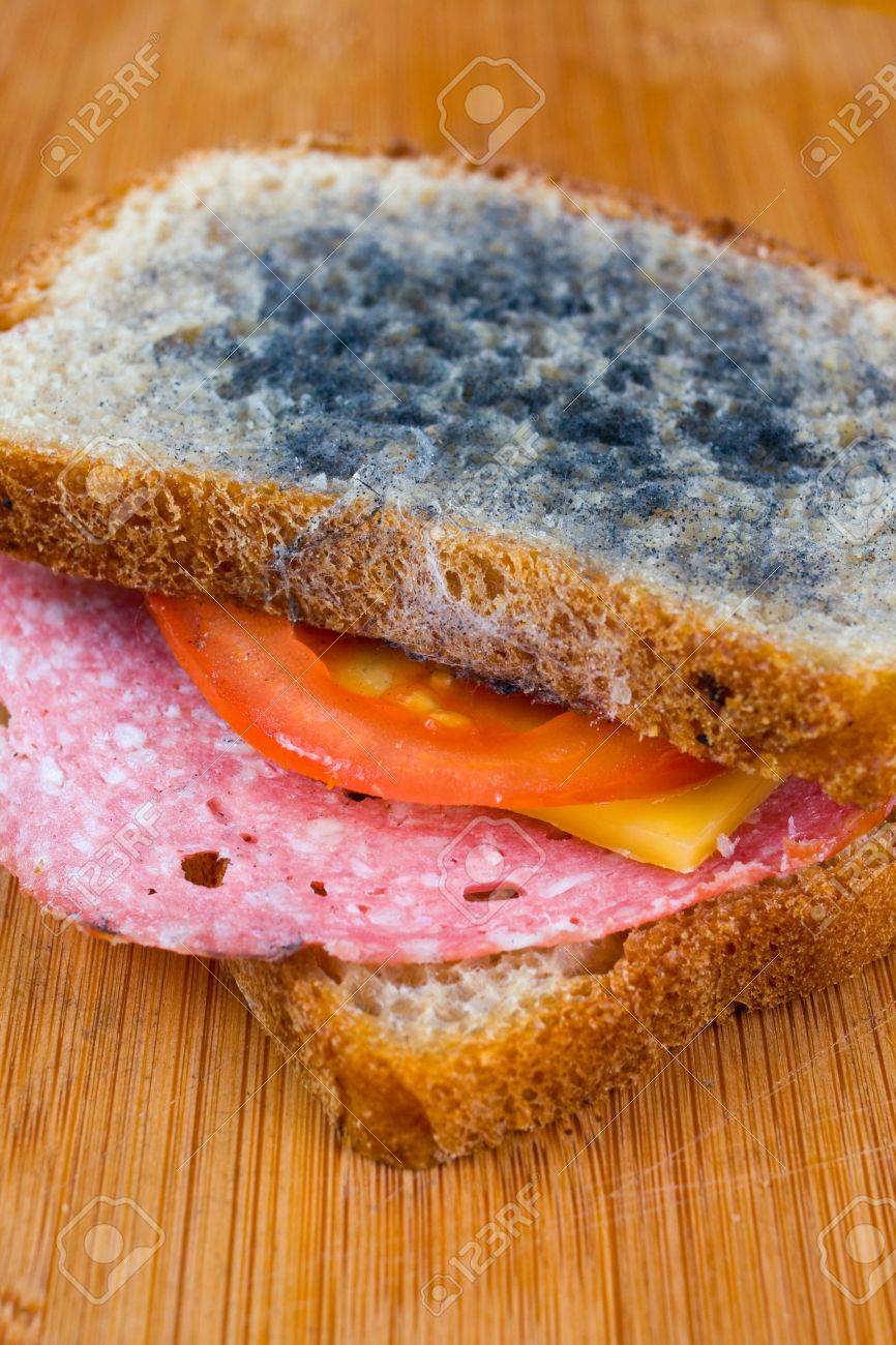 17536389-moldy-sandwich-with-salami-tomatoes-on-a-chopping-board.jpg
