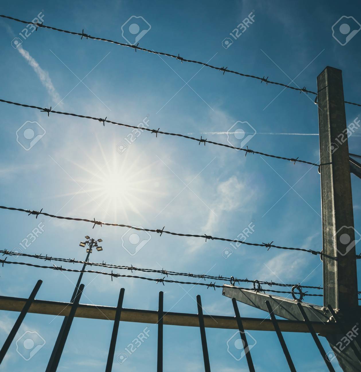 etiam-dictum-ipsum-a-felis