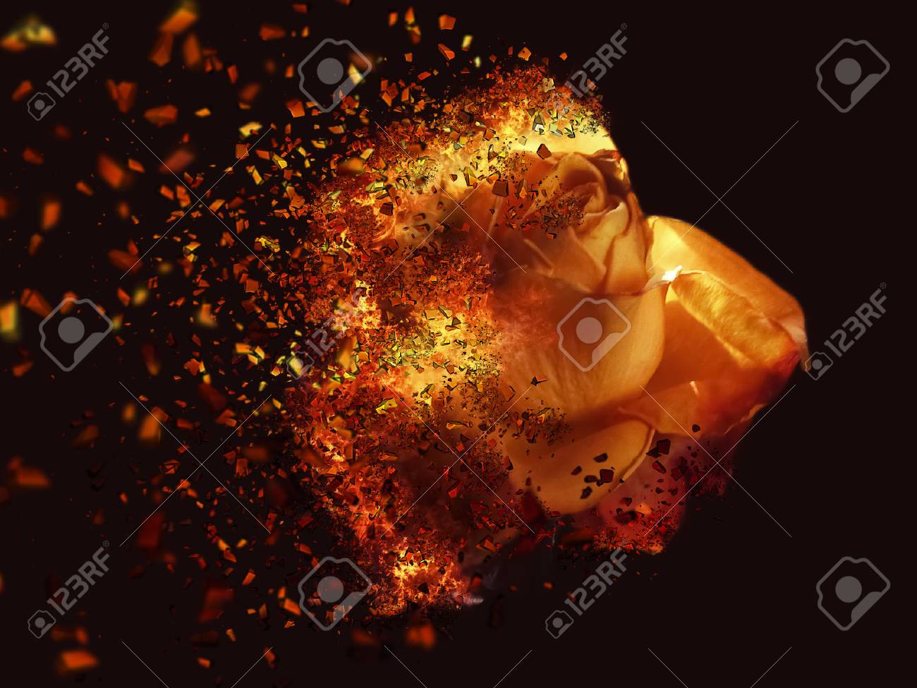 etiam-dictum-ipsum-a-felis