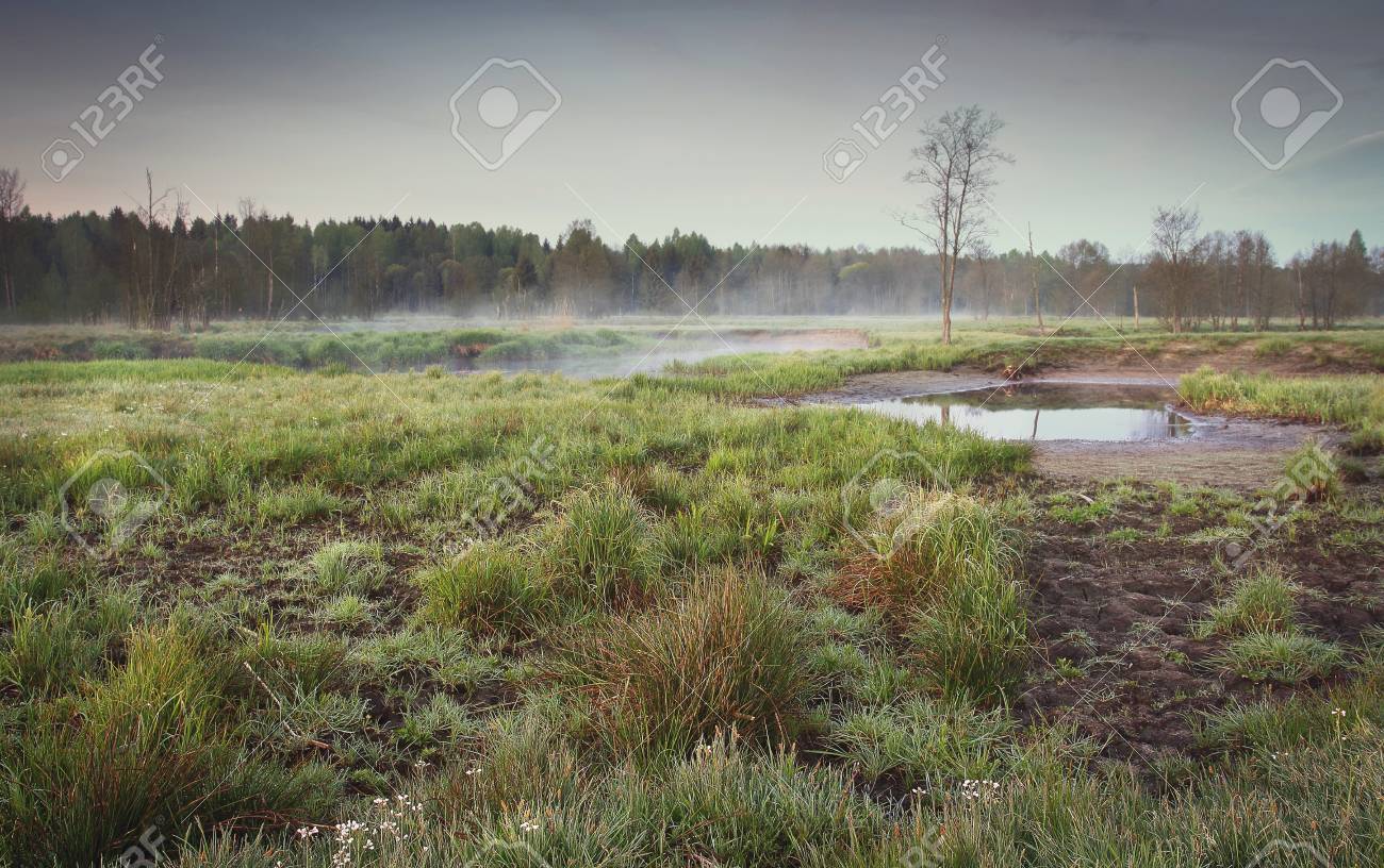 a melancholic landscape of