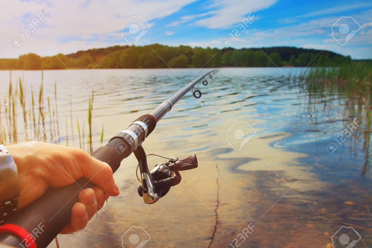 the forest fishing rod