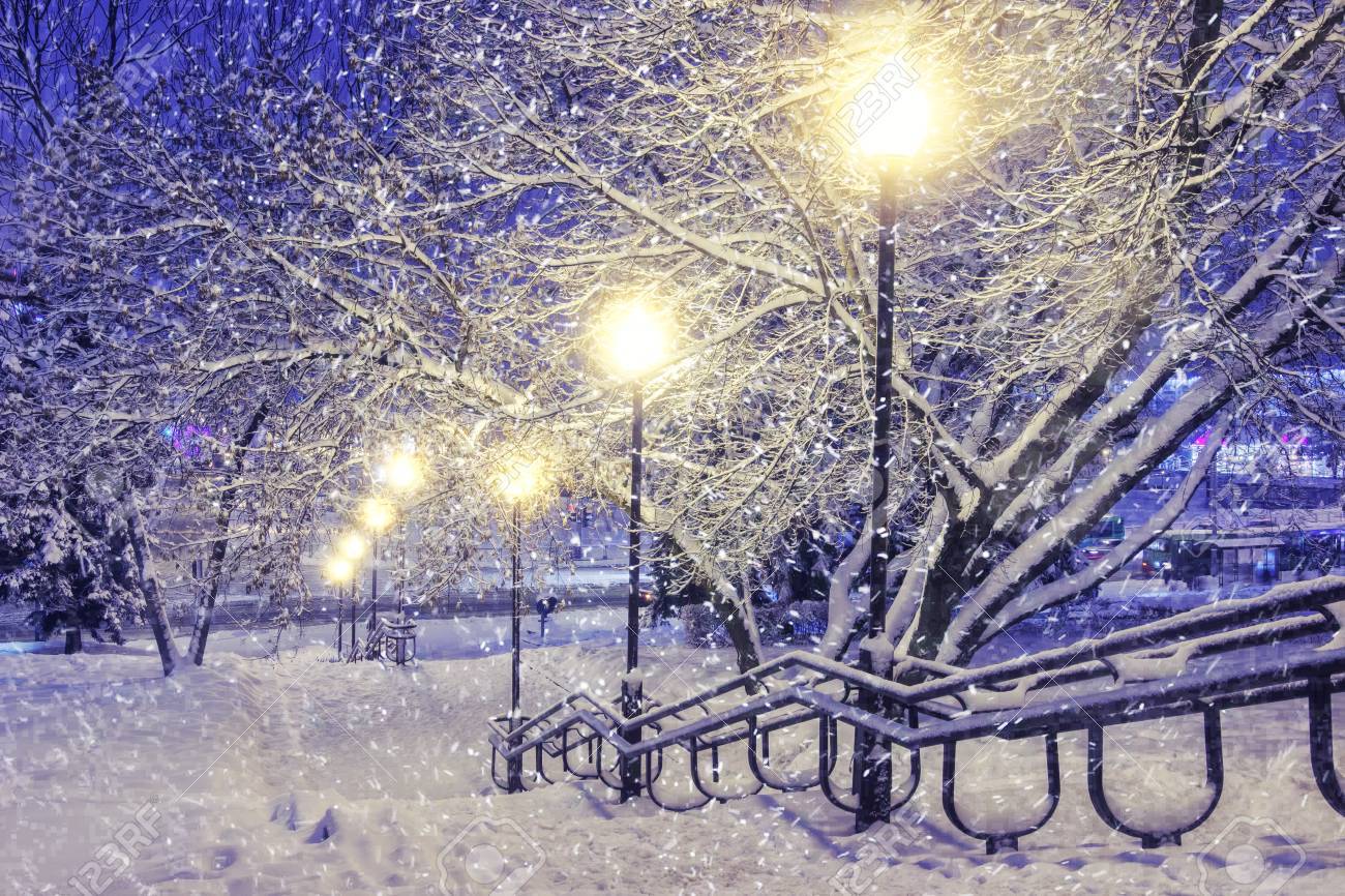 冬のシーン ランタンで夜の公園で降雪 クリスマスの背景 雪が雪に落ち の写真素材 画像素材 Image