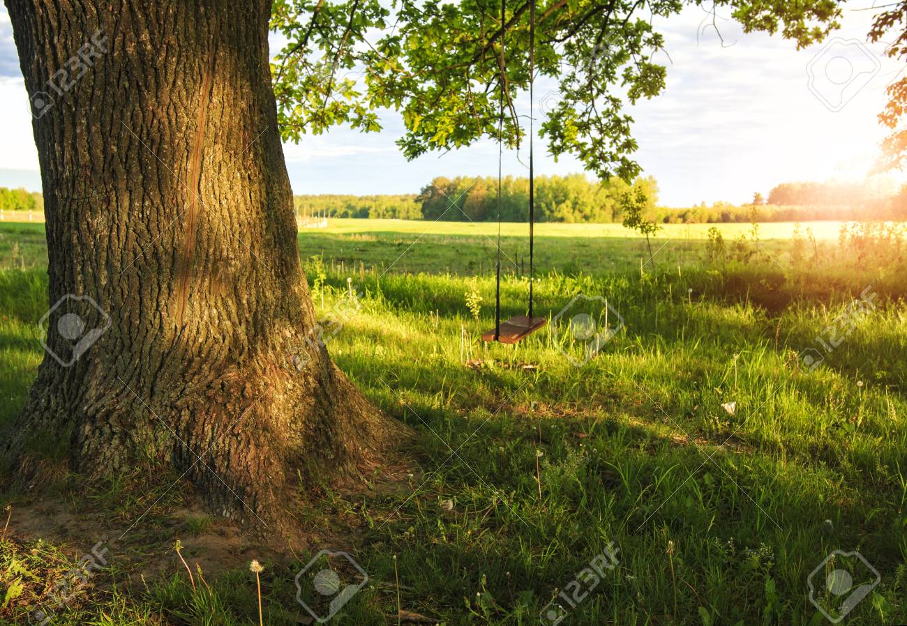 rural scene of a