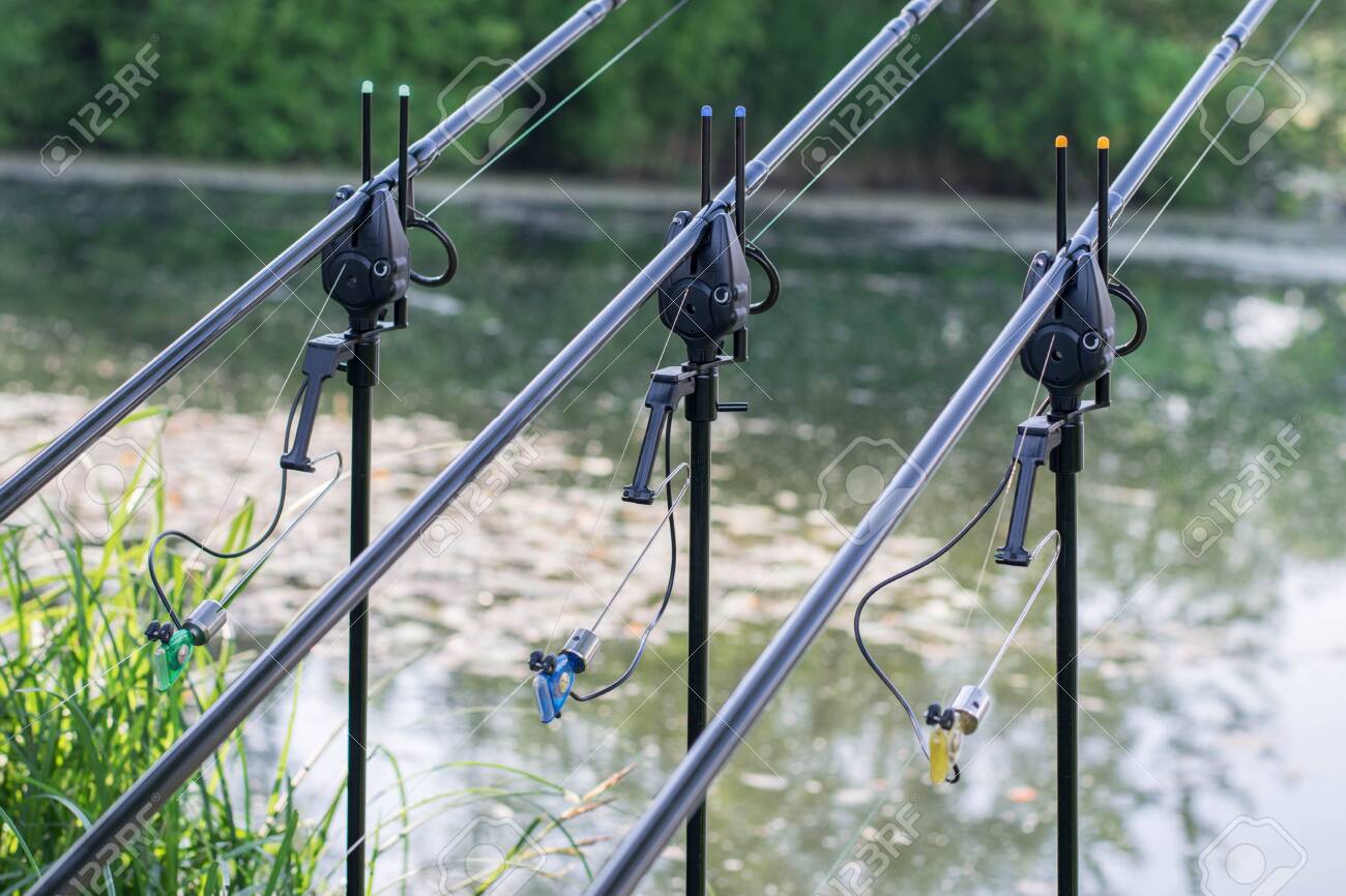 carp fishing bite alarms
