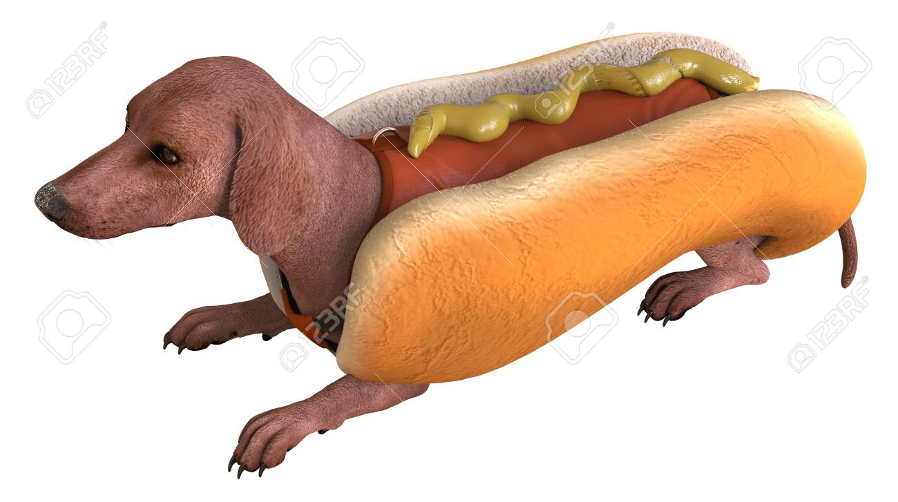 hotdog dog