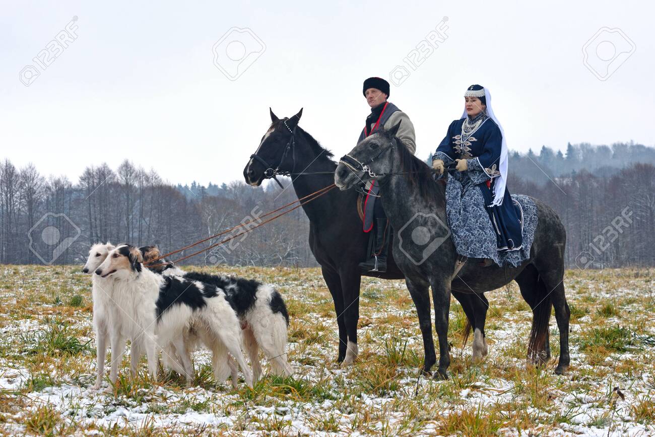 Minsk region, Belarus - November 5: Historical reconstruction of the traditional hunting with russian borzoi dogs. November 5, 2016, Belarus - 139050175 Minsk region, Belarus - November 5: Historical reconstruction of the traditional hunting with russian borzoi dogs. November 5, 2016, Belarus - 139050175