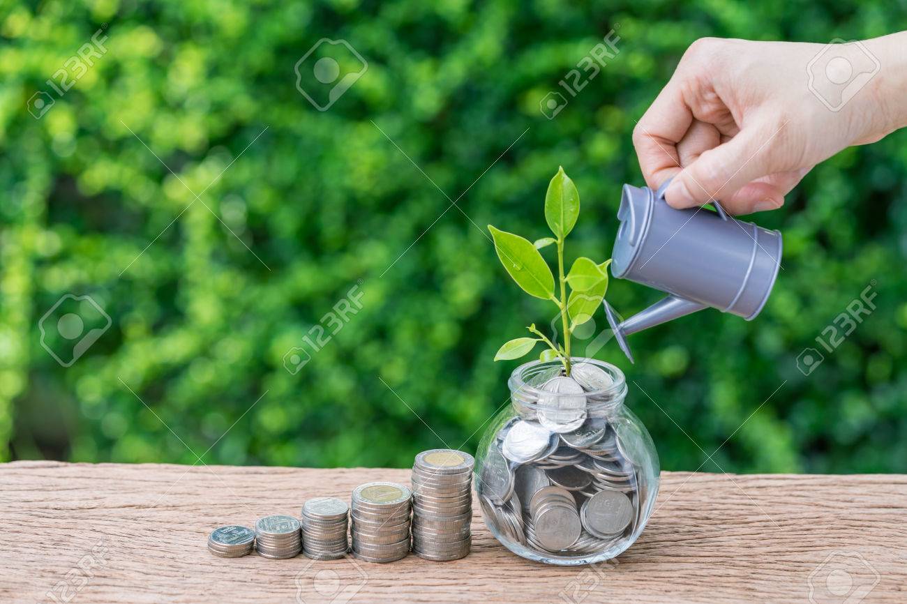 Stack of coins and growth sprout plant with hand watering as business finance or grow investment concept. - 84226126 Stack of coins and growth sprout plant with hand watering as business finance or grow investment concept. - 84226126